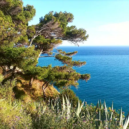 Cozy Private Bedroom With Sea View Penzion Camporosso (Liguria)