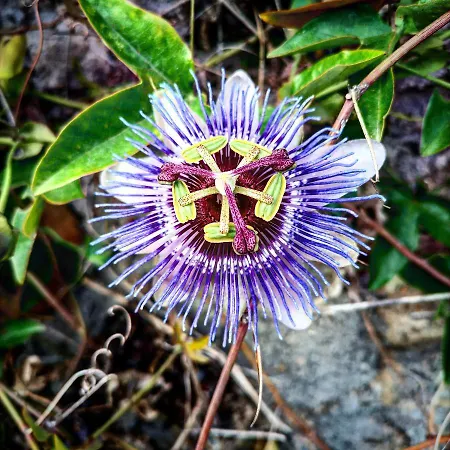 Cozy Private Bedroom With Sea View